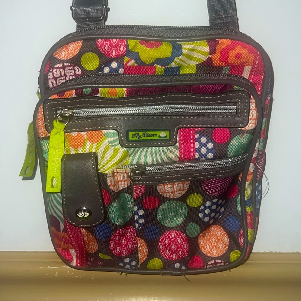 This is a Lily Bloom purse with 4 pockets.